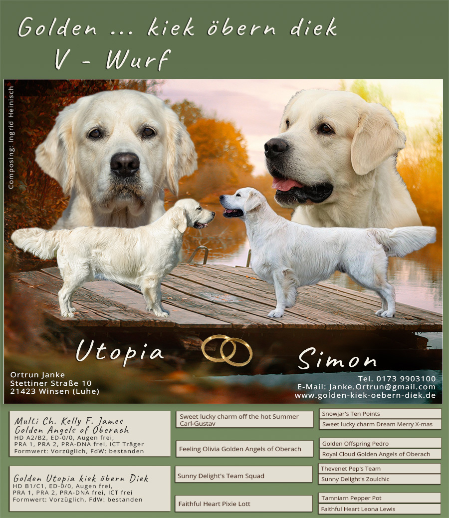 littercard-v-wurf